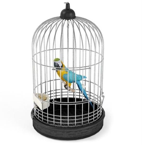 قفس طوطی - دانلود مدل سه بعدی قفس طوطی - آبجکت سه بعدی قفس طوطی - دانلود مدل سه بعدی fbx - دانلود مدل سه بعدی obj -Bird Cage 3d model free download  - Bird Cage 3d Object - Bird Cage OBJ 3d models - Bird Cage FBX 3d Models - پرنده